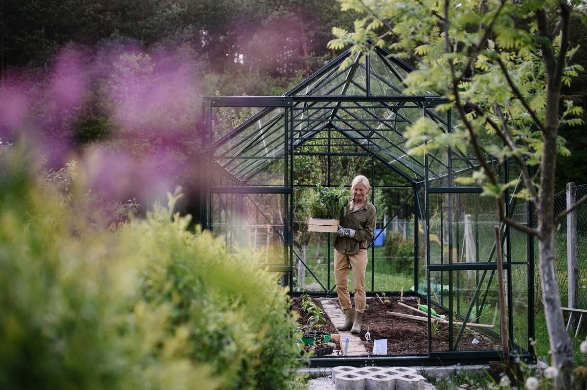 La SCPI Optimale diversifie son patrimoine avec l&rsquo;acquisition d&rsquo;une jardinerie
